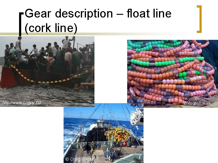 Gear description – float line (cork line) http: //www. ongoy. biz ©Yogesh Naik ©