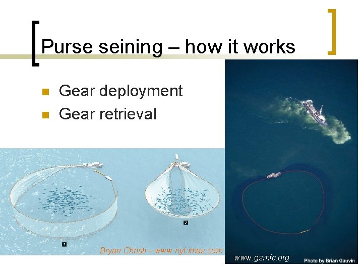 Purse seining – how it works n n Gear deployment Gear retrieval Bryan Christi