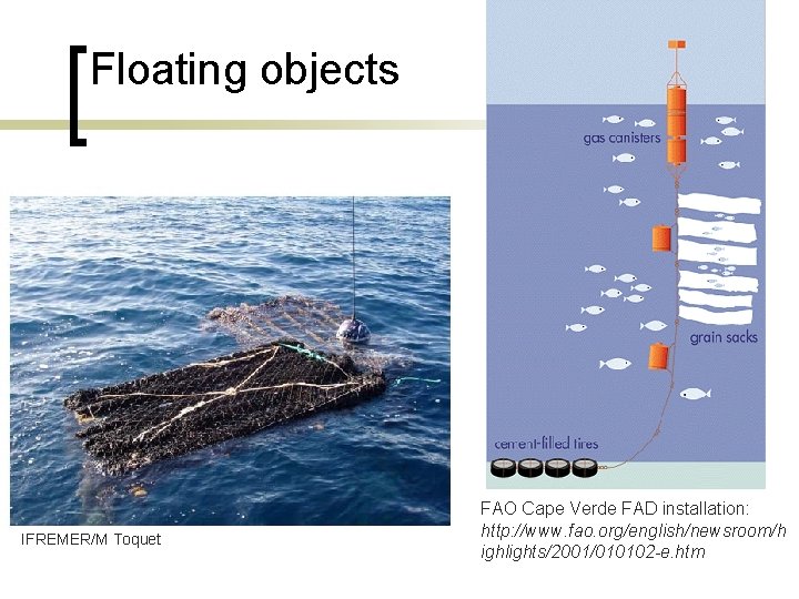 Floating objects IFREMER/M Toquet FAO Cape Verde FAD installation: http: //www. fao. org/english/newsroom/h ighlights/2001/010102