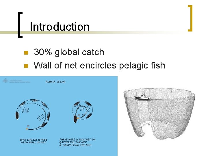 Introduction n n 30% global catch Wall of net encircles pelagic fish 