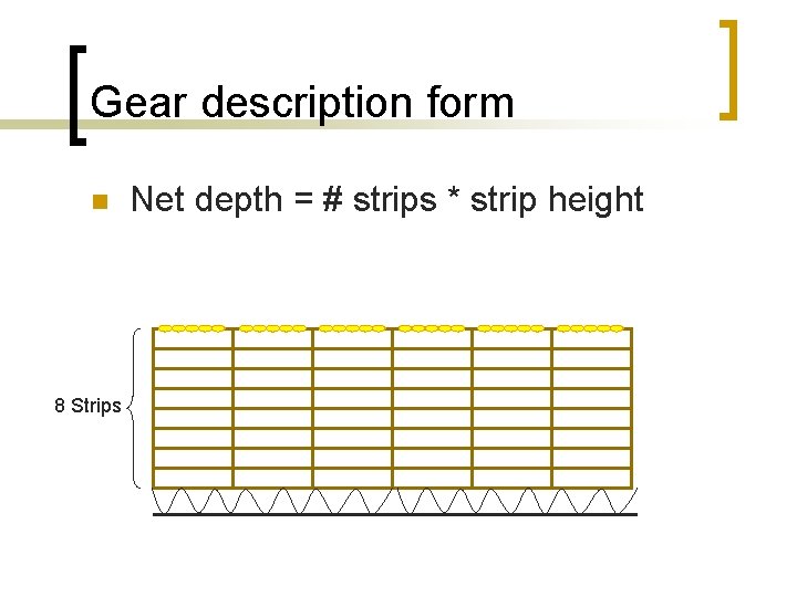 Gear description form n 8 Strips Net depth = # strips * strip height