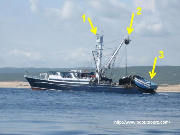 1 2 3 http: //www. bdoutdoors. com/ 