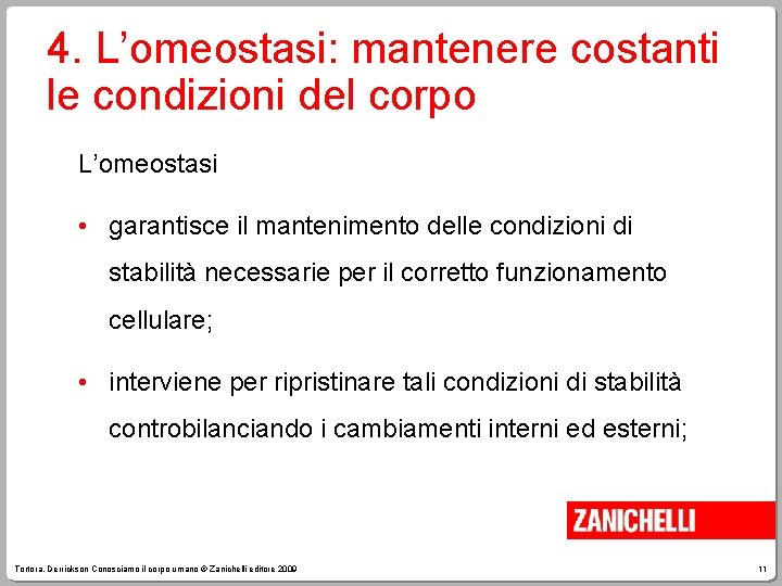 4. L’omeostasi: mantenere costanti le condizioni del corpo L’omeostasi • garantisce il mantenimento delle