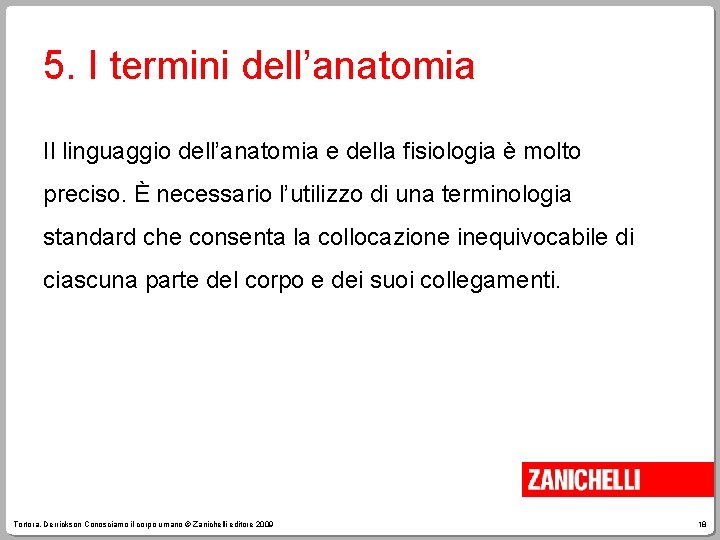 5. I termini dell’anatomia Il linguaggio dell’anatomia e della fisiologia è molto preciso. È