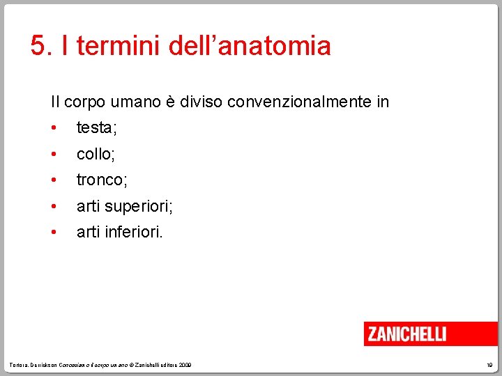 5. I termini dell’anatomia Il corpo umano è diviso convenzionalmente in • testa; •