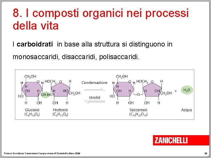 8. I composti organici nei processi della vita I carboidrati in base alla struttura