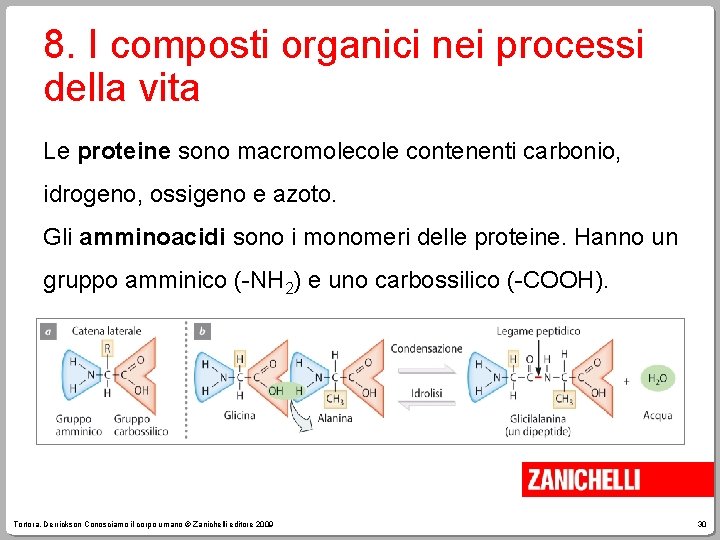 8. I composti organici nei processi della vita Le proteine sono macromolecole contenenti carbonio,