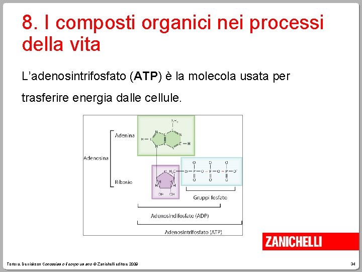 8. I composti organici nei processi della vita L’adenosintrifosfato (ATP) è la molecola usata