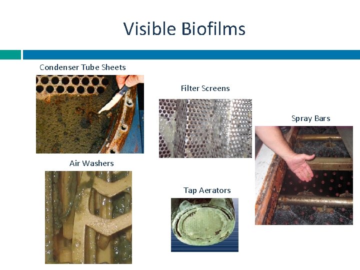 Visible Biofilms Condenser Tube Sheets Filter Screens Spray Bars Air Washers Tap Aerators 