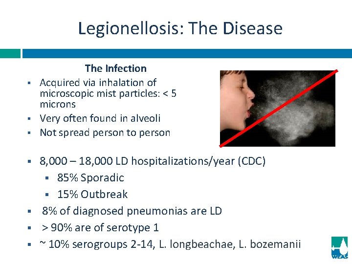 Legionellosis: The Disease § § § § The Infection Acquired via inhalation of microscopic