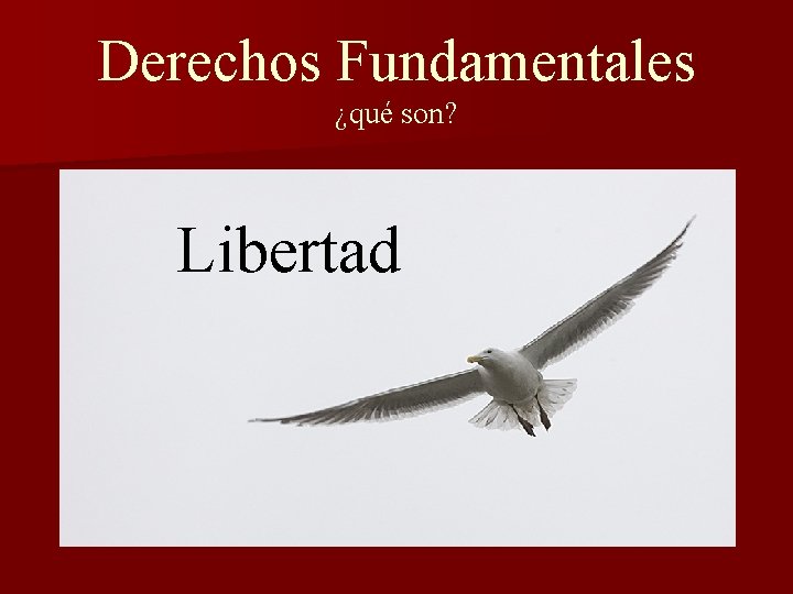 Derechos Fundamentales ¿qué son? Libertad 