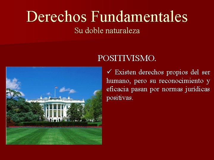 Derechos Fundamentales Su doble naturaleza POSITIVISMO. ü Existen derechos propios del ser humano, pero