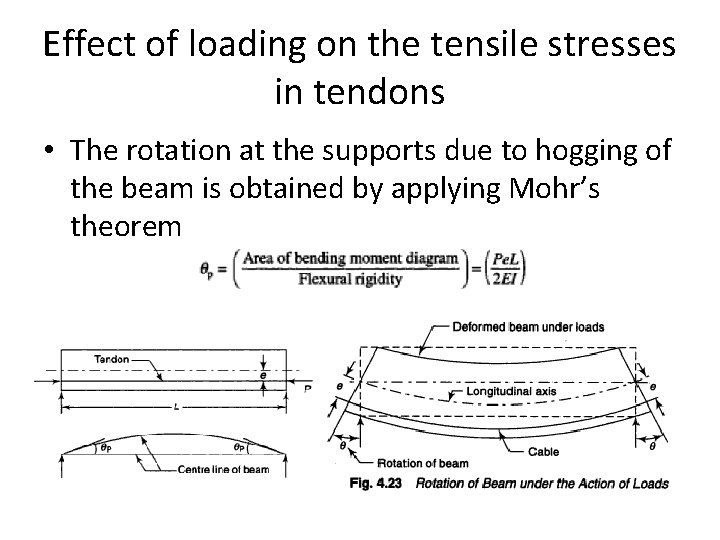 Effect of loading on the tensile stresses in tendons • The rotation at the Effect of loading on the tensile stresses in tendons • The rotation at the