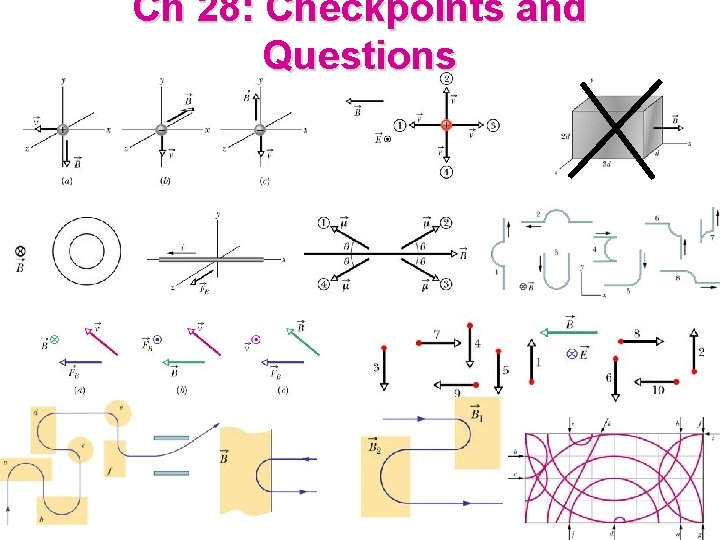 Ch 28: Checkpoints and Questions 