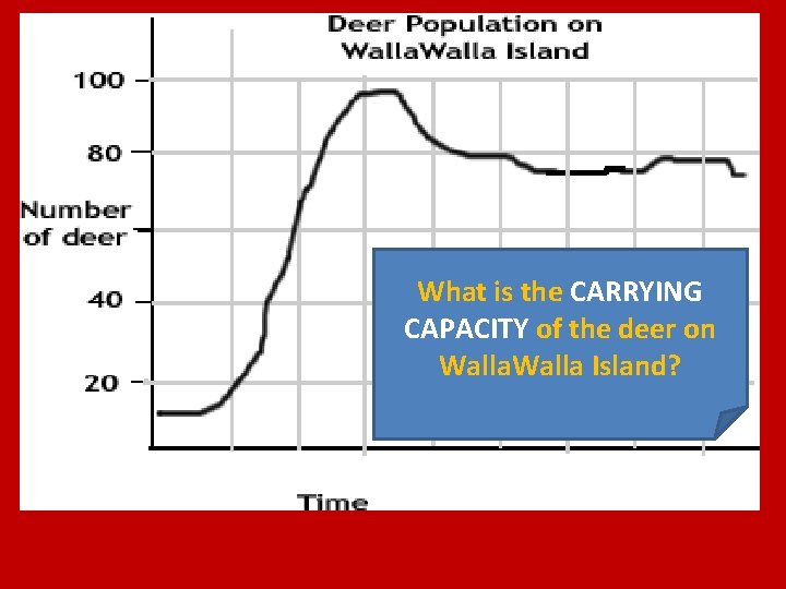 What is the CARRYING CAPACITY of the deer on Walla Island? 
