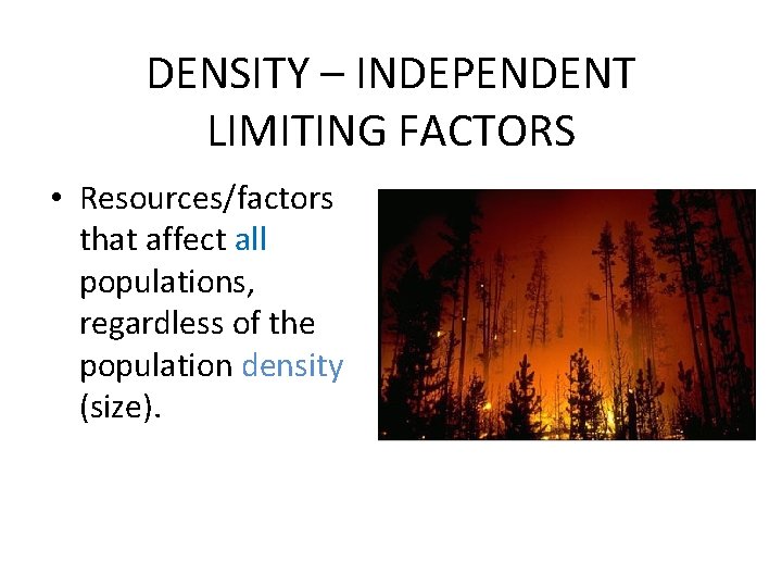 DENSITY – INDEPENDENT LIMITING FACTORS • Resources/factors that affect all populations, regardless of the