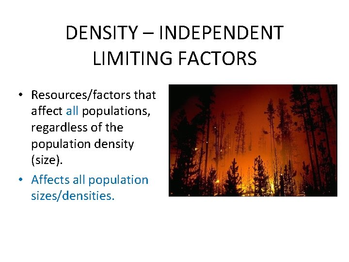 DENSITY – INDEPENDENT LIMITING FACTORS • Resources/factors that affect all populations, regardless of the
