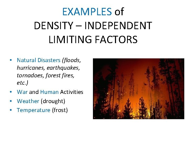 EXAMPLES of DENSITY – INDEPENDENT LIMITING FACTORS • Natural Disasters (floods, hurricanes, earthquakes, tornadoes,
