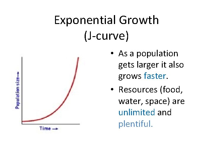 Exponential Growth (J-curve) • As a population gets larger it also grows faster. •