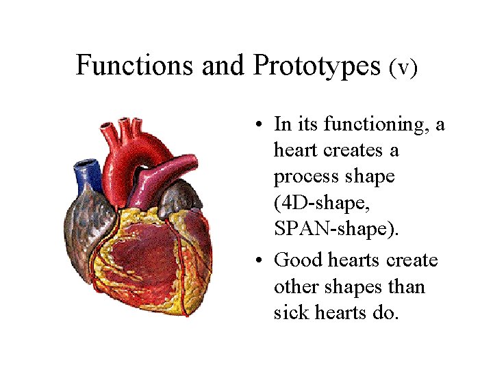 Functions and Prototypes (v) • In its functioning, a heart creates a process shape Functions and Prototypes (v) • In its functioning, a heart creates a process shape