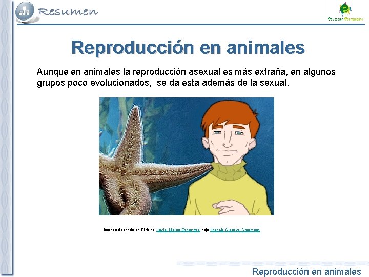 Reproducción en animales Aunque en animales la reproducción asexual es más extraña, en algunos