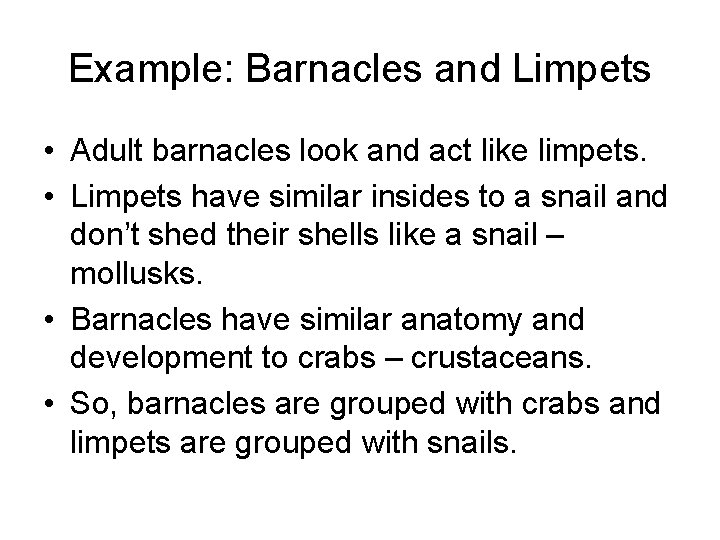 Example: Barnacles and Limpets • Adult barnacles look and act like limpets. • Limpets