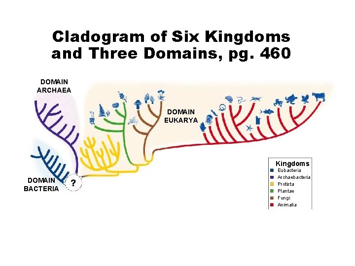 Cladogram of Six Kingdoms and Three Domains, pg. 460 DOMAIN ARCHAEA DOMAIN EUKARYA Kingdoms