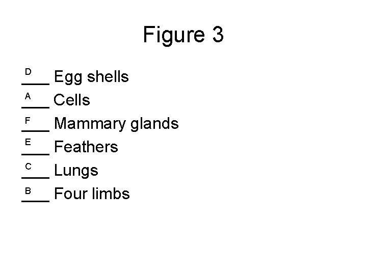 Figure 3 D ___ Egg shells A ___ Cells F ___ Mammary glands E