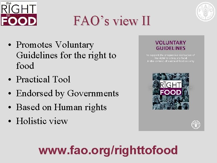 FAO’s view II • Promotes Voluntary Guidelines for the right to food • Practical