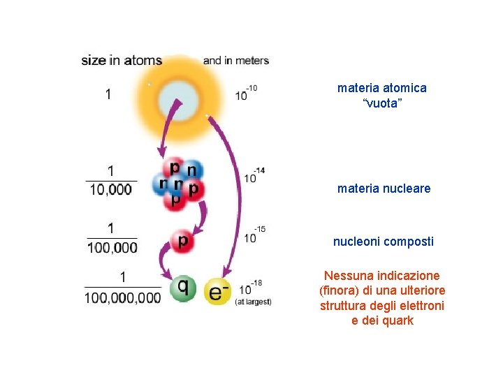 materia atomica “vuota” materia nucleare nucleoni composti Nessuna indicazione (finora) di una ulteriore struttura