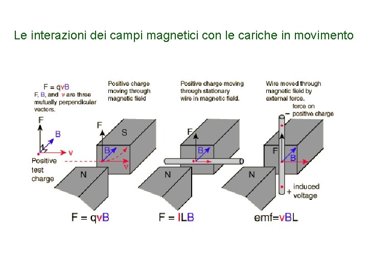 Le interazioni dei campi magnetici con le cariche in movimento 