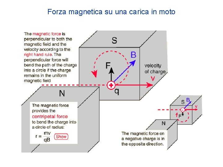 Forza magnetica su una carica in moto 