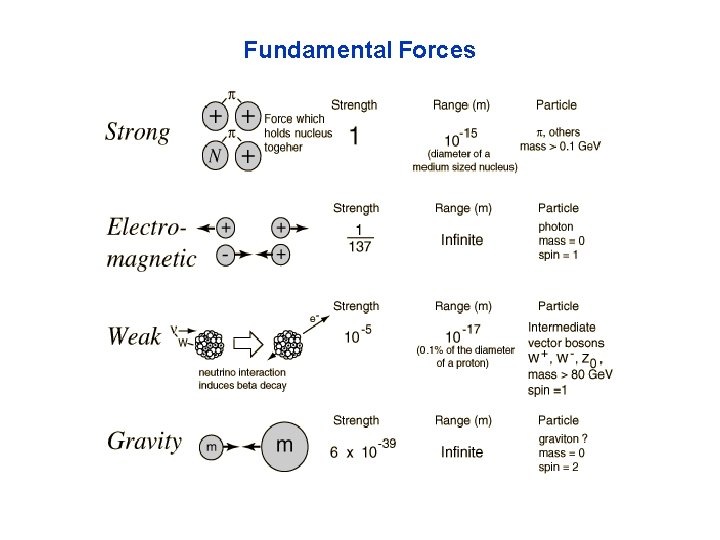 Fundamental Forces 