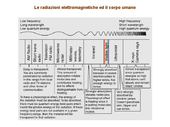 Le radiazioni elettromagnetiche ed il corpo umano 
