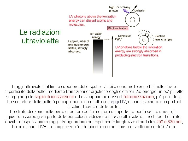 Le radiazioni ultraviolette I raggi ultravioletti al limite superiore dello spettro visibile sono molto