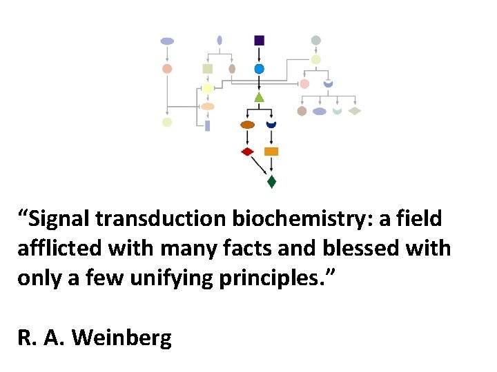 “Signal transduction biochemistry: a field afflicted with many facts and blessed with only a