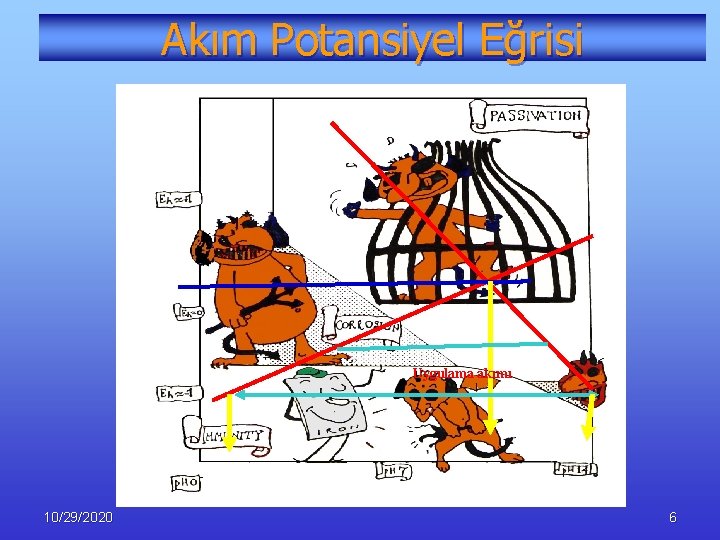Akım Potansiyel Eğrisi Uygulama akımı 10/29/2020 6 