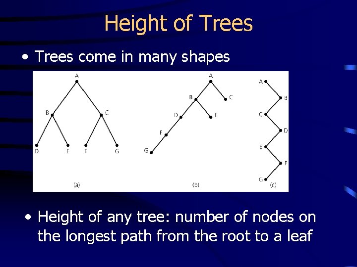 Height of Trees • Trees come in many shapes • Height of any tree: