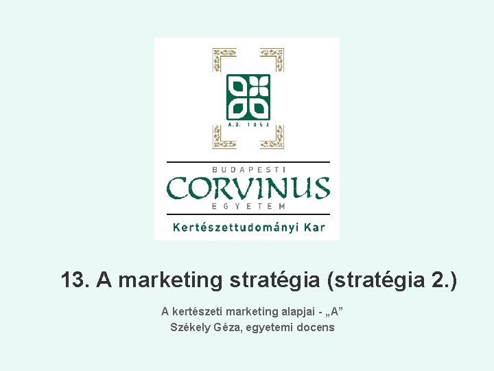 13. A marketing stratégia (stratégia 2. ) A kertészeti marketing alapjai - „A” Székely