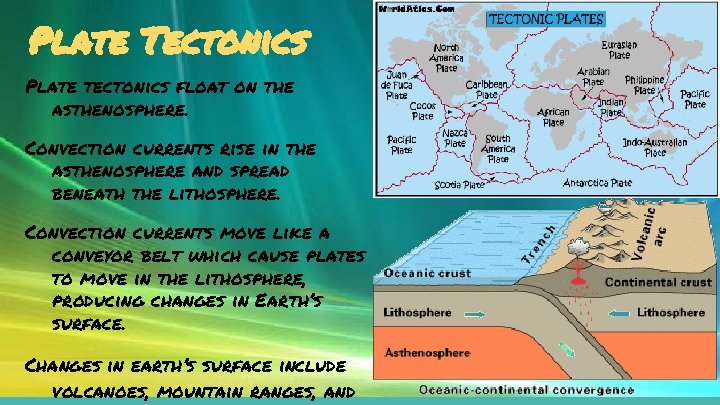 Plate Tectonics Plate tectonics float on the asthenosphere. Convection currents rise in the asthenosphere
