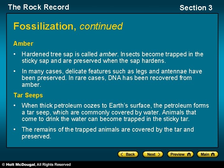 The Rock Record Section 3 Fossilization, continued Amber • Hardened tree sap is called