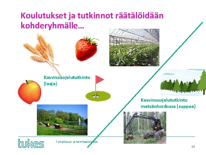 Koulutukset ja tutkinnot räätälöidään kohderyhmälle… Kasvinsuojelututkinto (laaja) Kasvinsuojelututkinto metsänhoidossa (suppea) Turvallisuus- ja kemikaalivirasto •