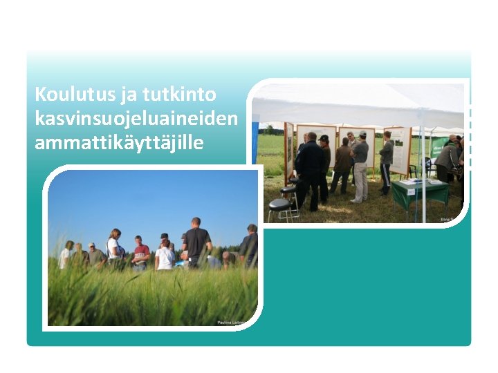 Koulutus ja tutkinto kasvinsuojeluaineiden ammattikäyttäjille Turvallisuus- ja kemikaalivirasto • 