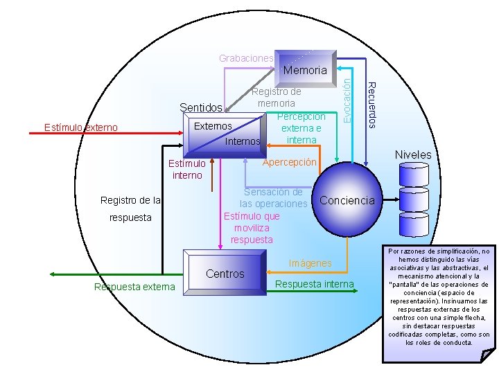 Grabaciones Estímulo externo respuesta Sensación de las operaciones Estímulo que moviliza respuesta Centros Respuesta