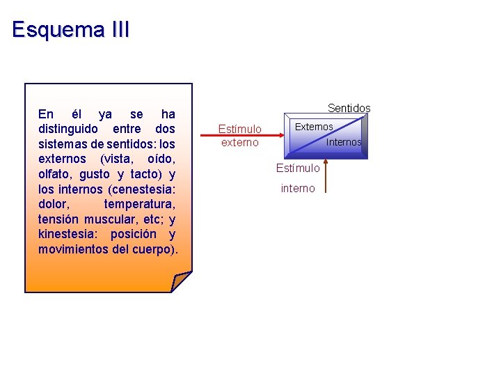 Esquema III En él ya se ha distinguido entre dos sistemas de sentidos: los