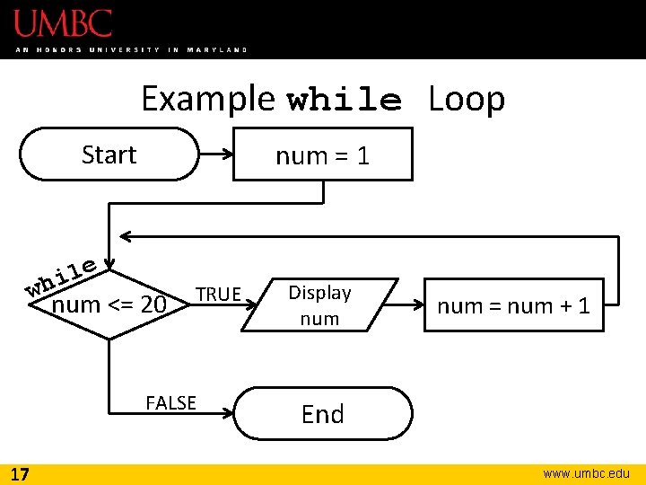 Example while Loop Start e l i wh num = 1 num <= 20