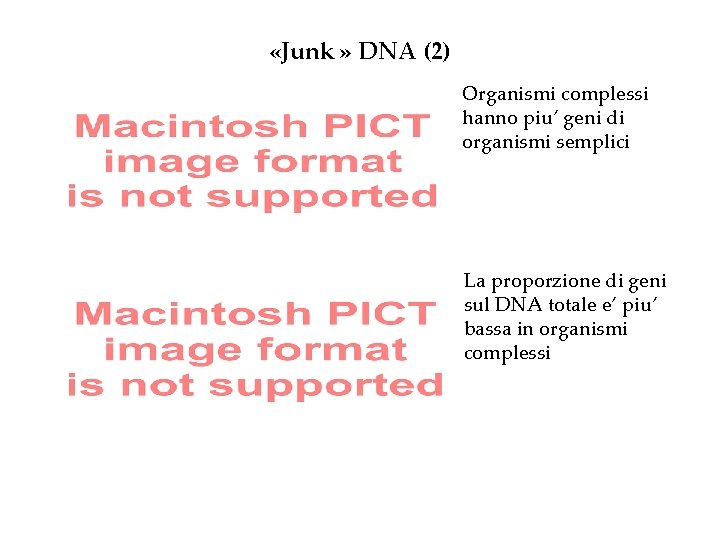  «Junk » DNA (2) Organismi complessi hanno piu’ geni di organismi semplici La