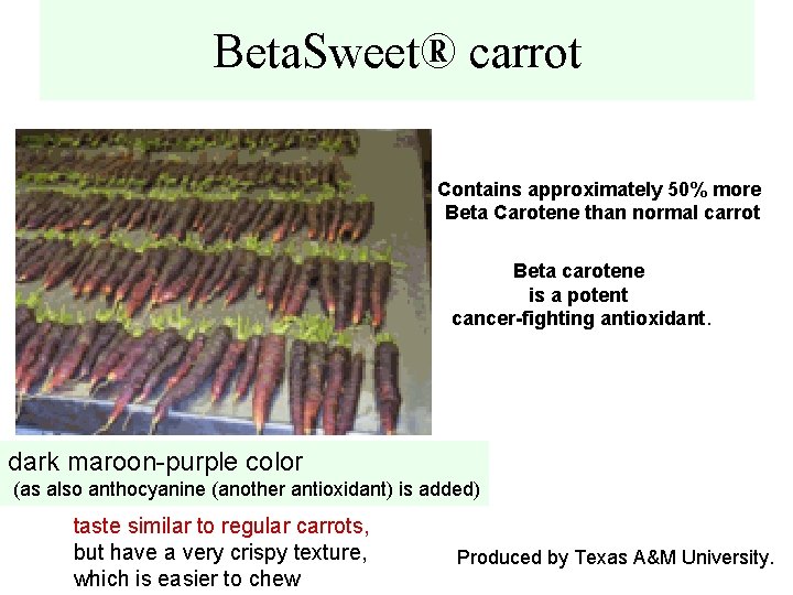 Beta. Sweet® carrot Contains approximately 50% more Beta Carotene than normal carrot Beta carotene