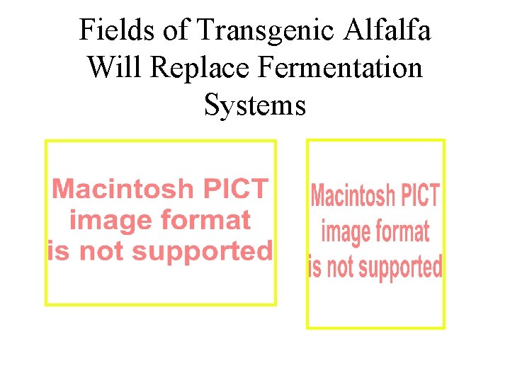 Fields of Transgenic Alfalfa Will Replace Fermentation Systems 