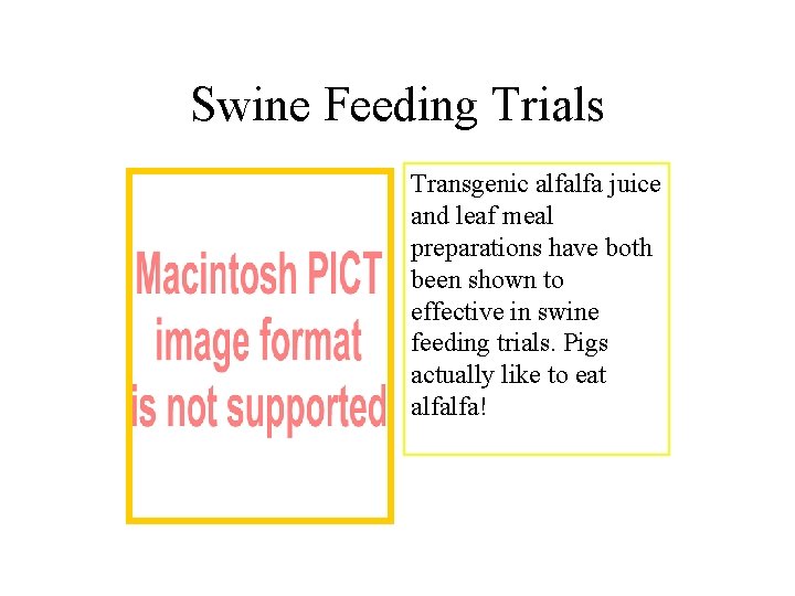 Swine Feeding Trials Transgenic alfalfa juice and leaf meal preparations have both been shown